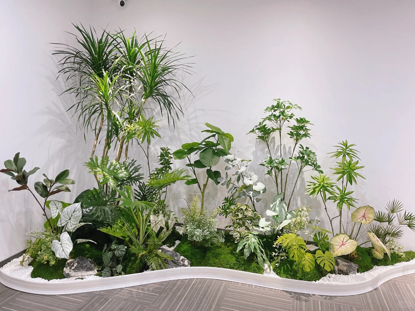 为何都选北仑绿植出租公司?原因在这里